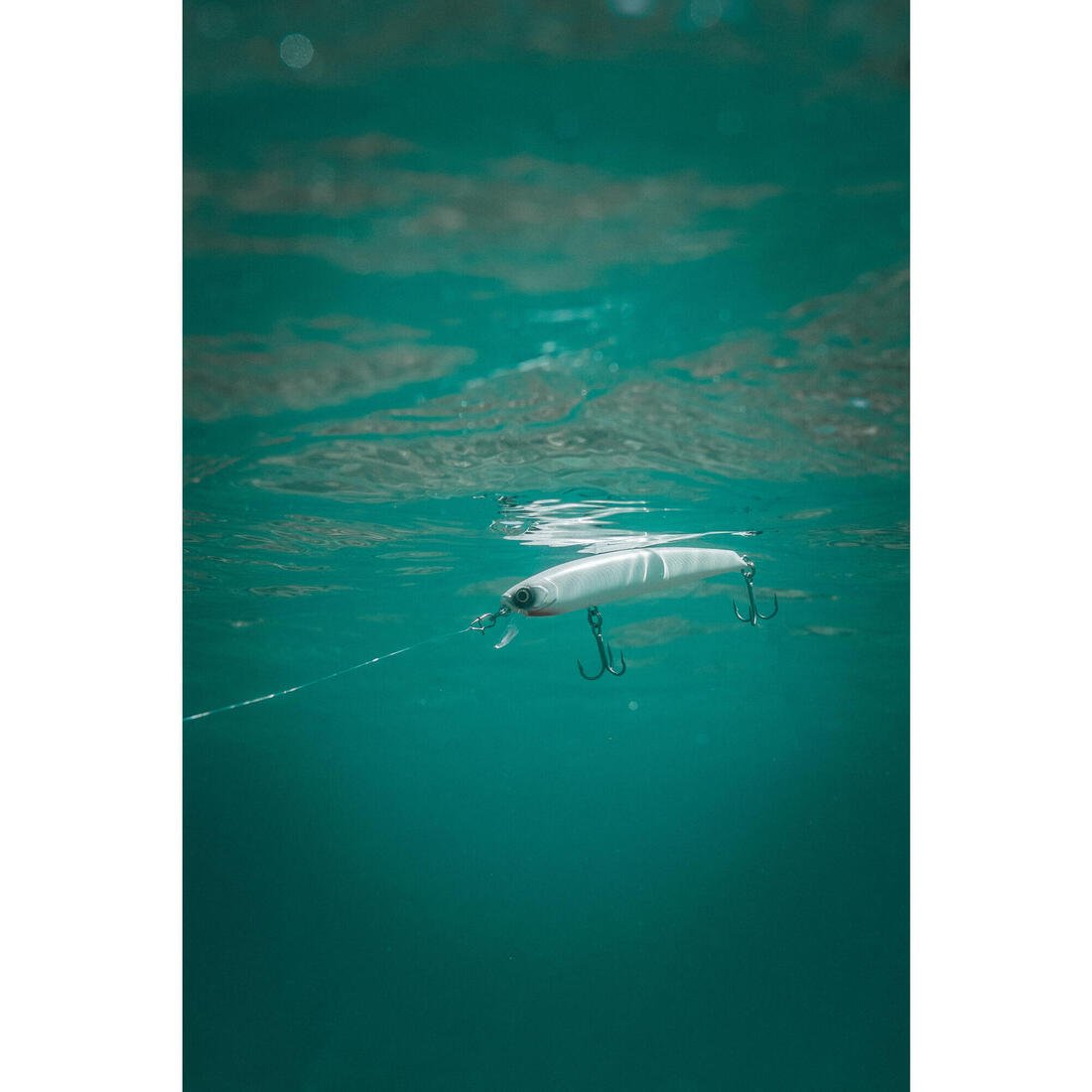 Poisson nageur Saxton 110F au leurre en mer