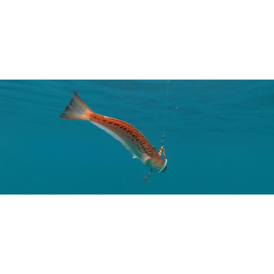 Casting jig biastos fast assist 10gr au leurre en mer