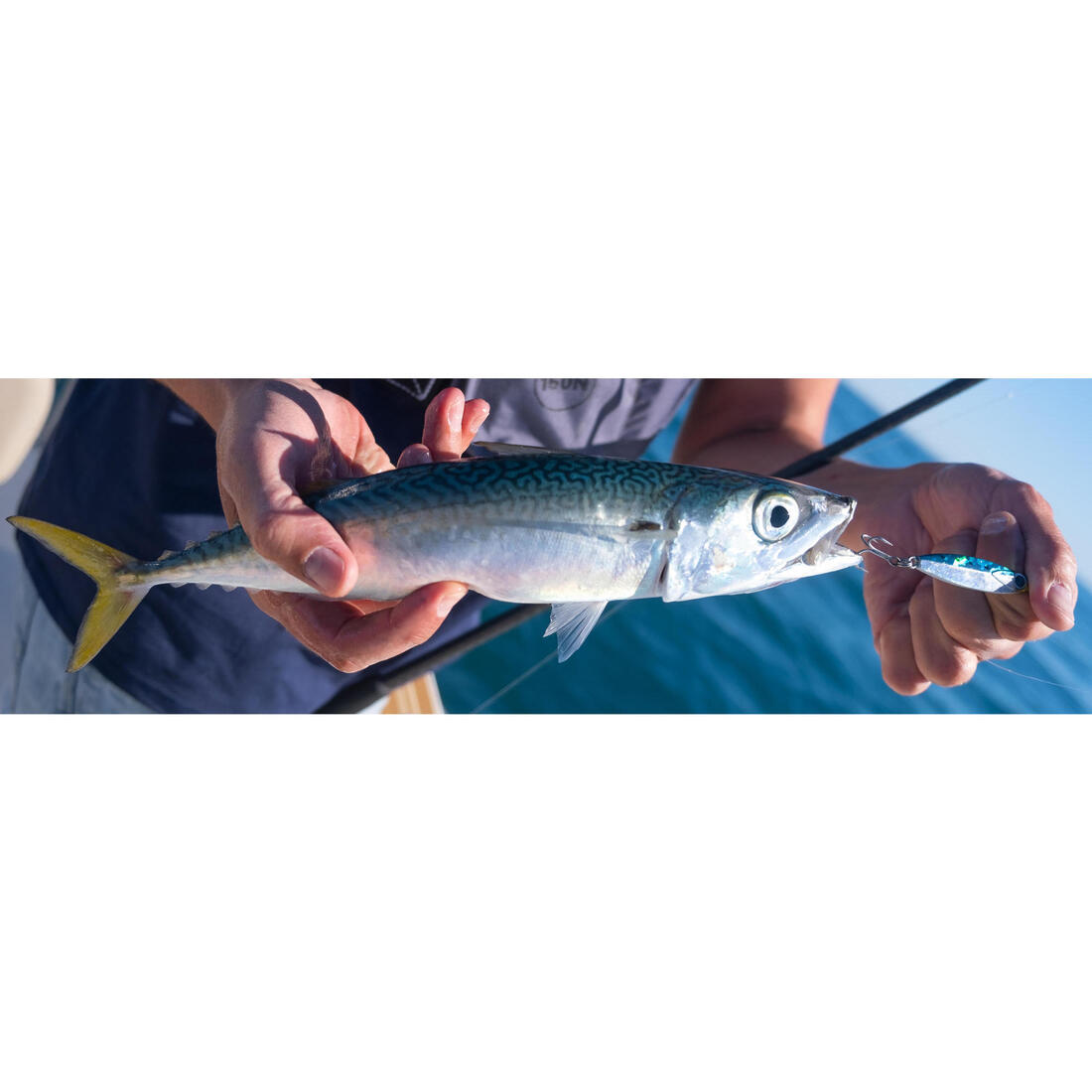 Casting jig biastos fast assist 10gr au leurre en mer