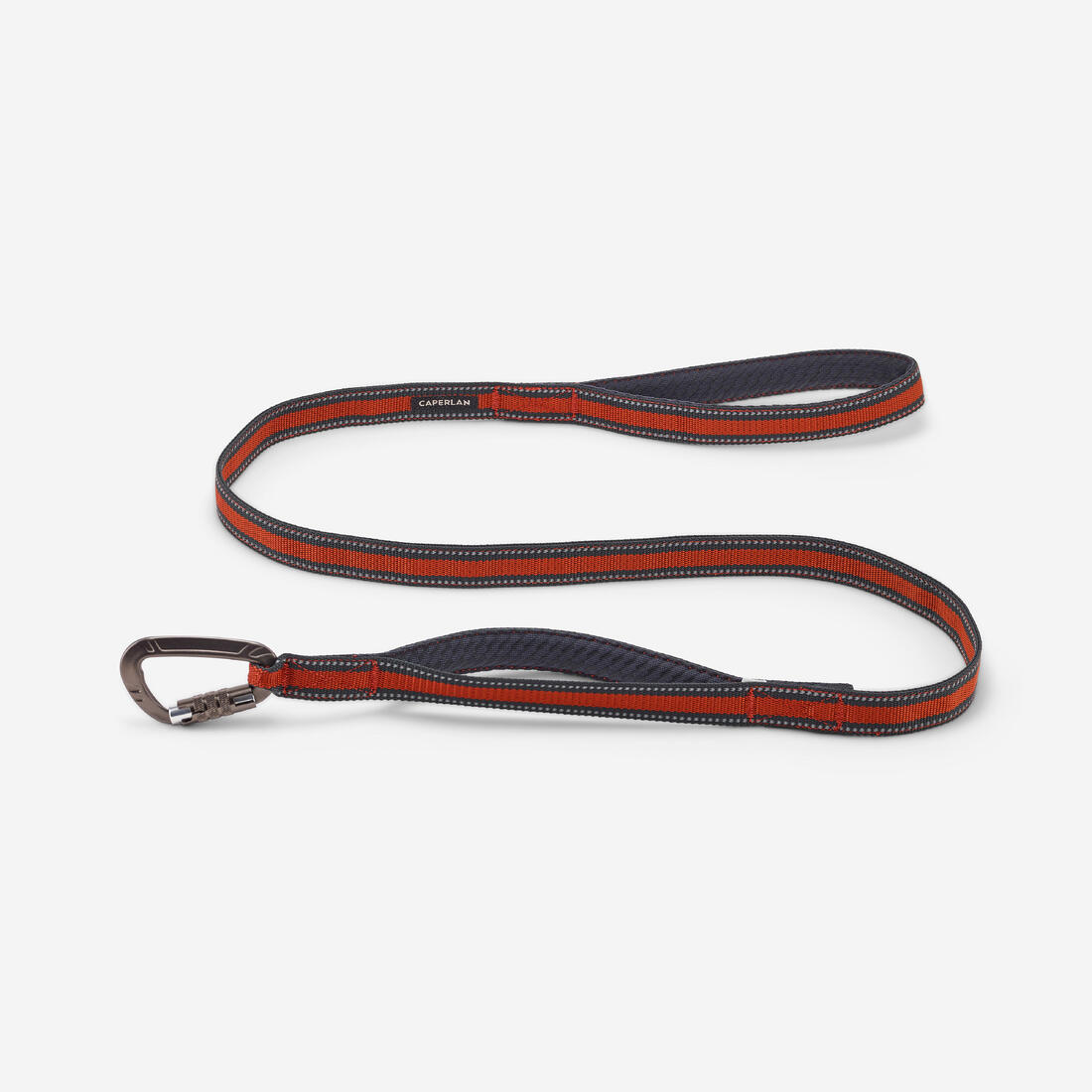 LAISSE CHIEN OUTDOOR 500