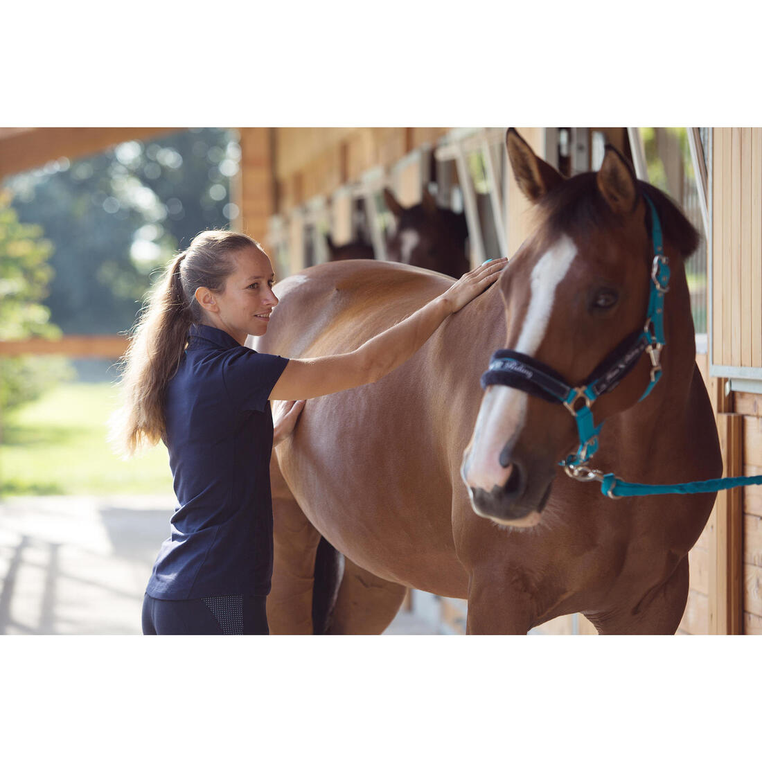 Pack licol + longe équitation cheval et poney WINNER