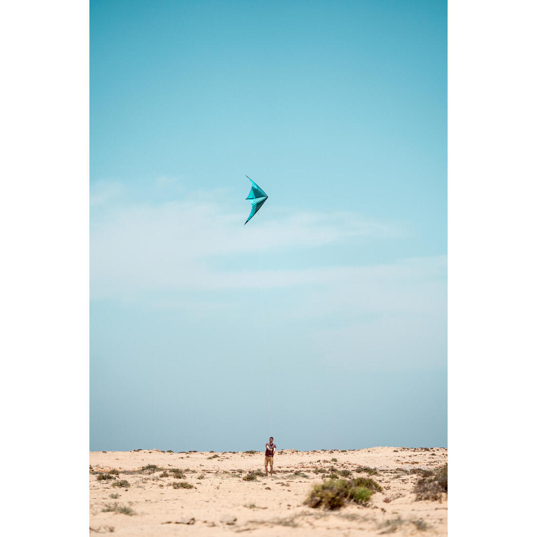 Cerf-volant pilotable polyvalent FYF 500 Carbone