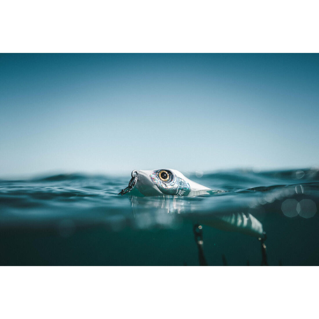 Stickbait exofly 130 f au leurre en mer