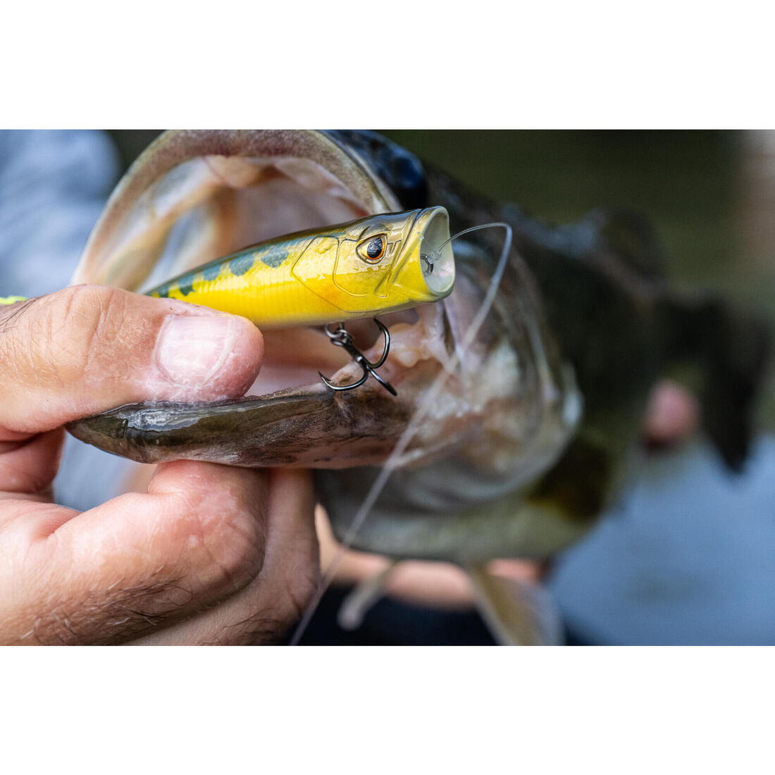 POISSON NAGEUR POPPER WXM PPR 65 F FIRETIGER