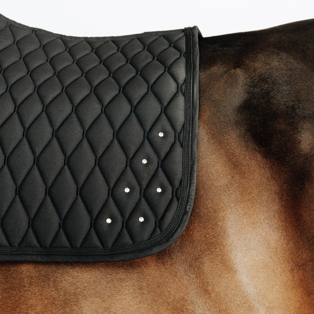 Tapis de selle équitation strass Cheval et Poney - 500
