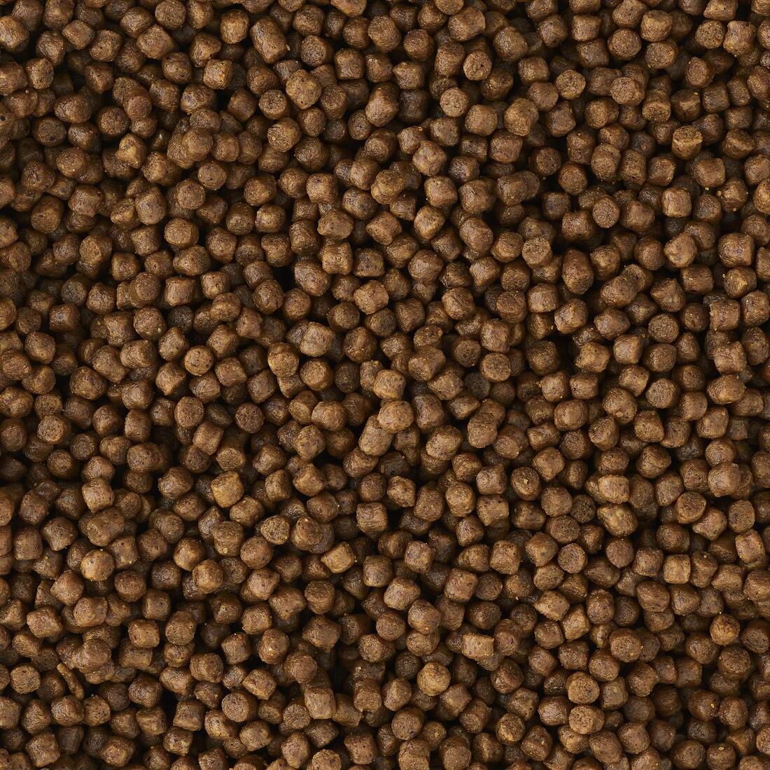 Pellets gooster loups & dorades 1kg pêche en mer