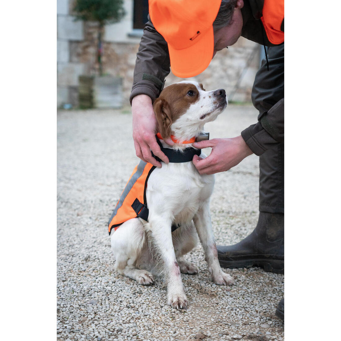 GILET CHIEN CHASSE 100