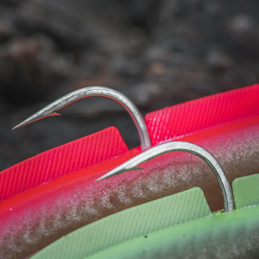 IMG_2250732