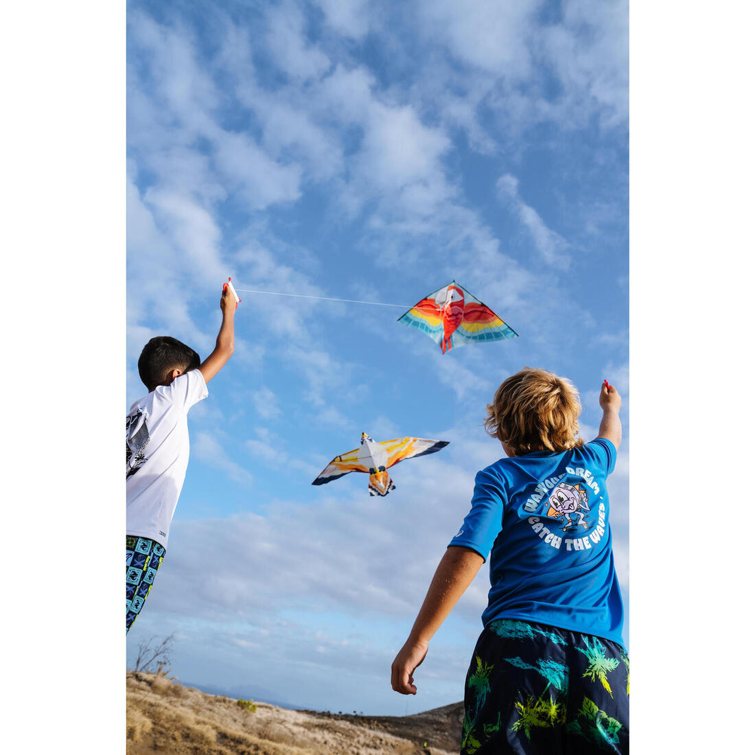 Cerf-volant statique Enfant - MFK150 Oiseau