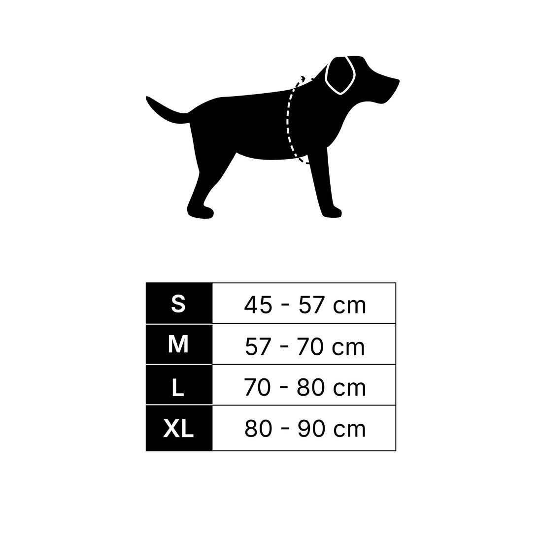 Harnais de randonnée avec sac à dos pour chien
