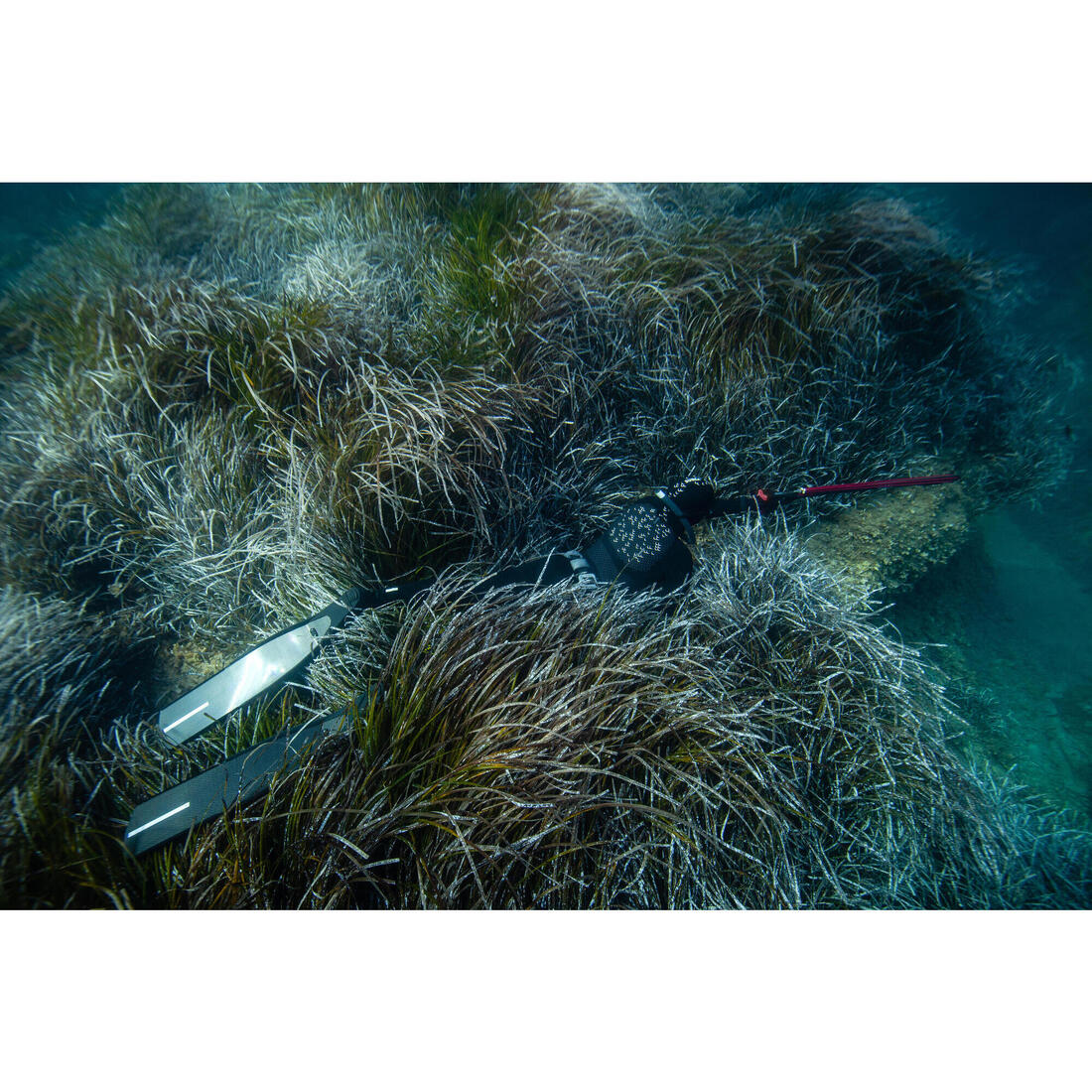 Arbalète chasse sous-marine carbone 100 cm - SPF 900 connectée