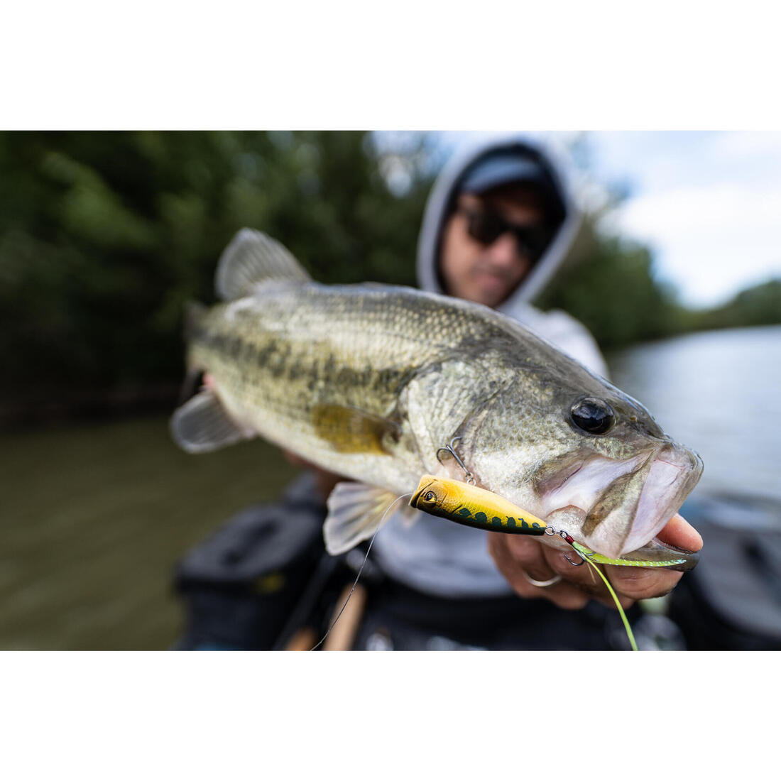 POISSON NAGEUR POPPER WXM PPR 65 F FIRETIGER