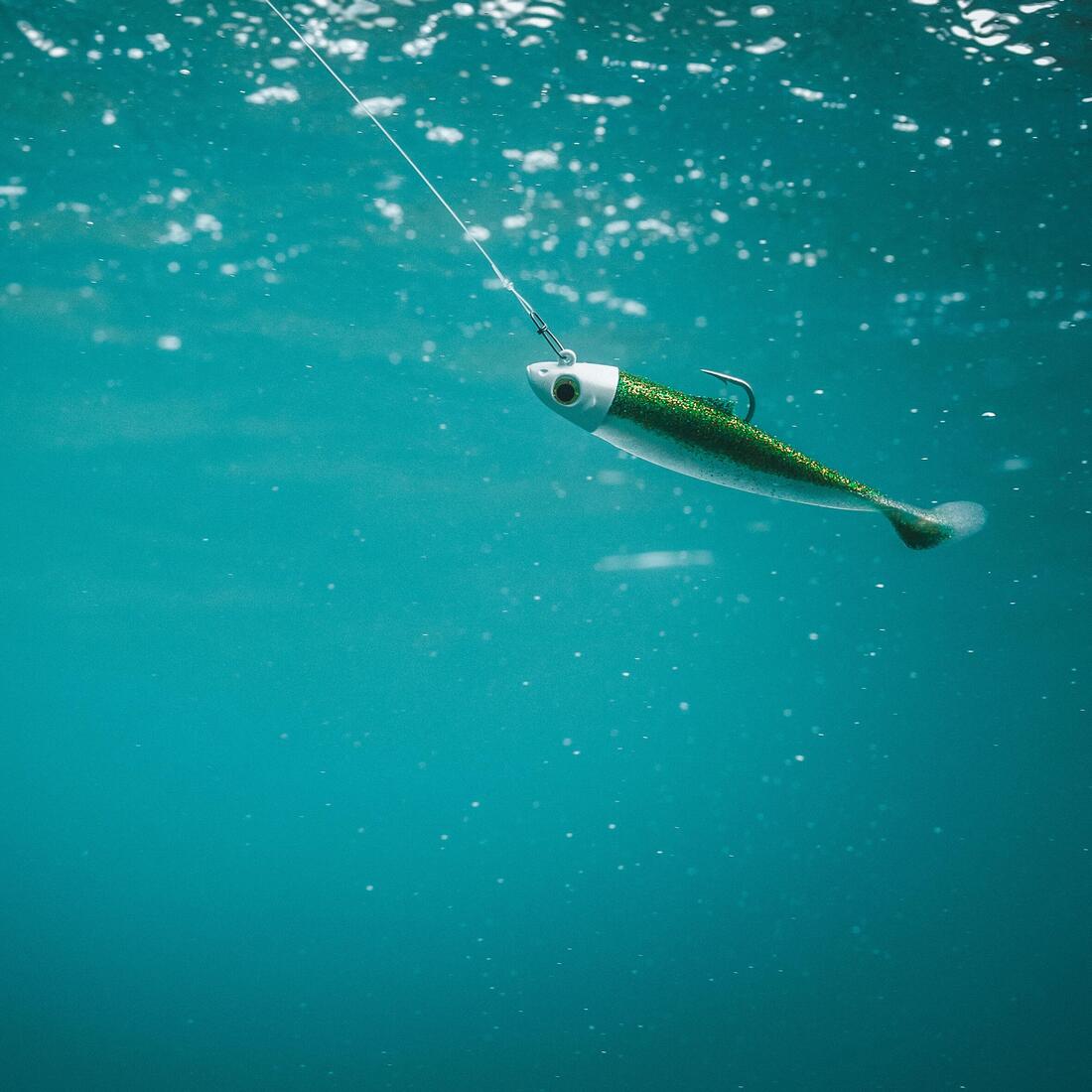 COMBO leurres souples Shad OSARDA 100 Bleu/Vert pailleté