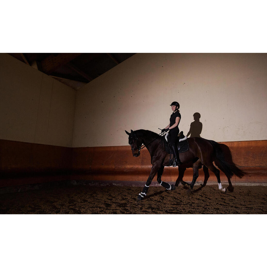 Amortisseur cheval mouton noir 900