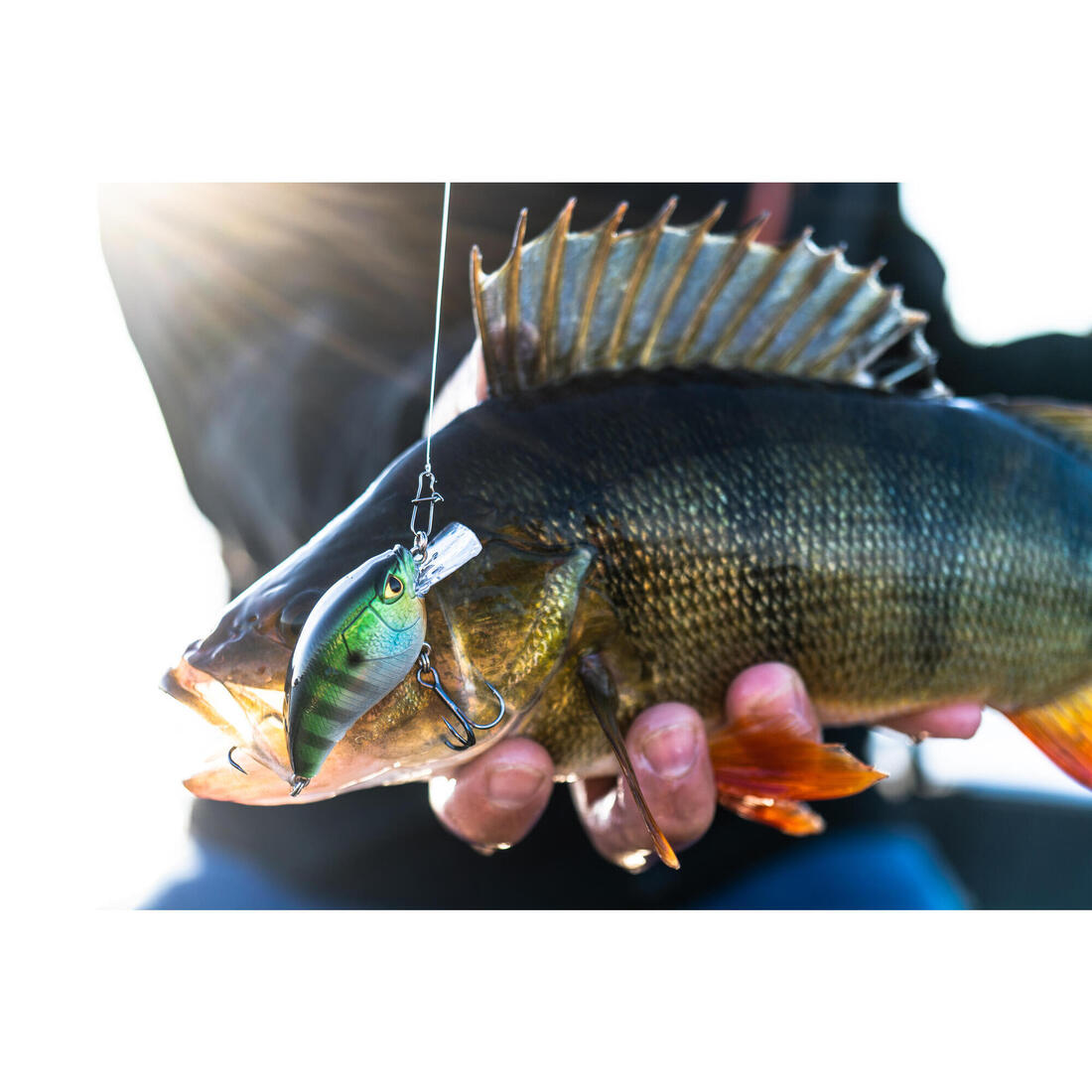 POISSON NAGEUR CRANKBAIT SHALLOW RUNNER WXM CRKSR 53 F ORANGETIGER