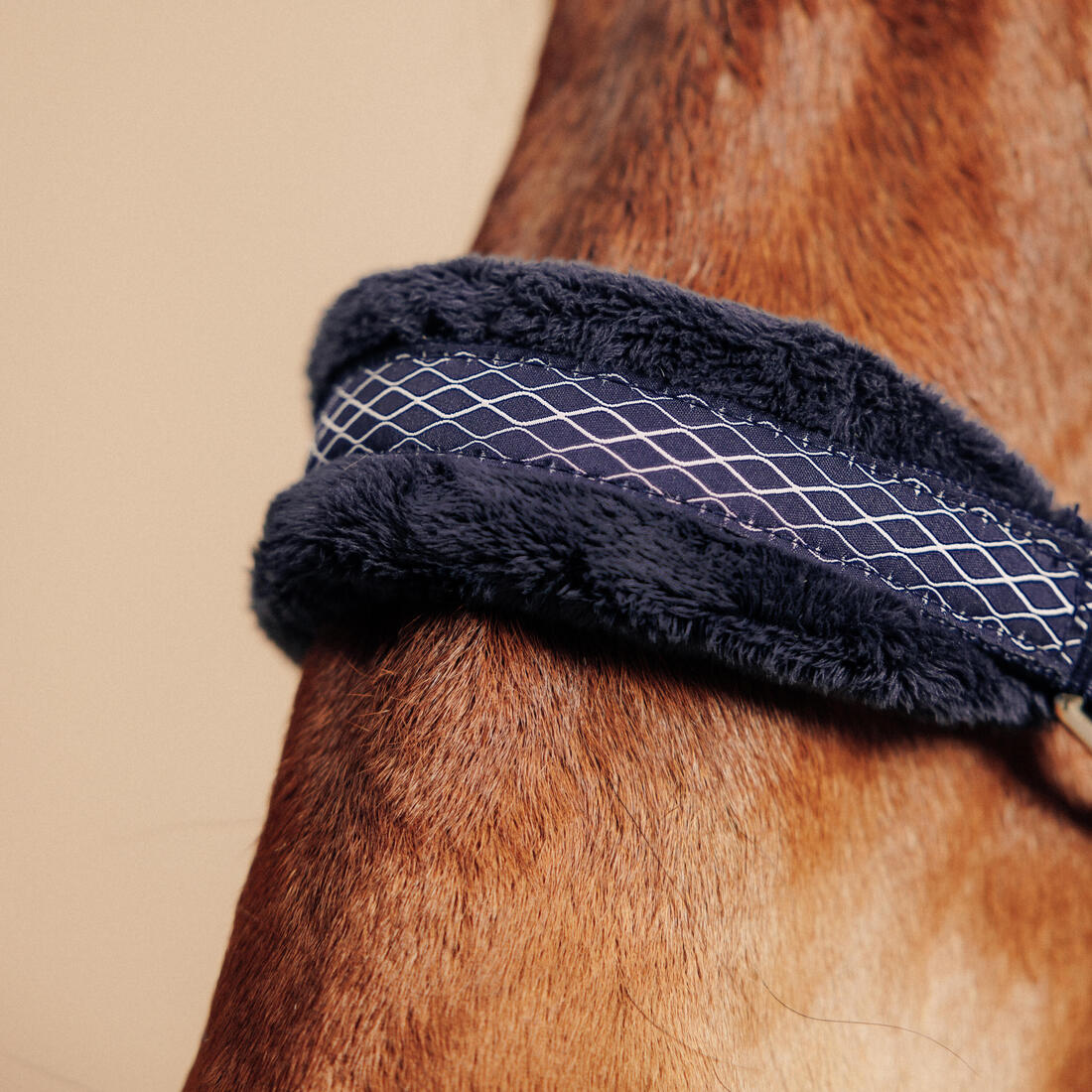 Licol équitation Poney - Confort Bleu noir / Rose cardinal