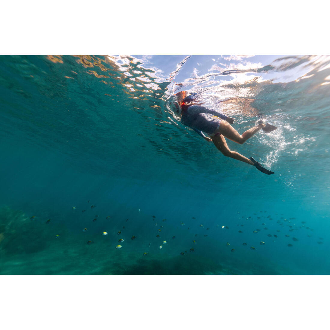 Masque snorkeling immersion Easybreath 900 > 10 ans