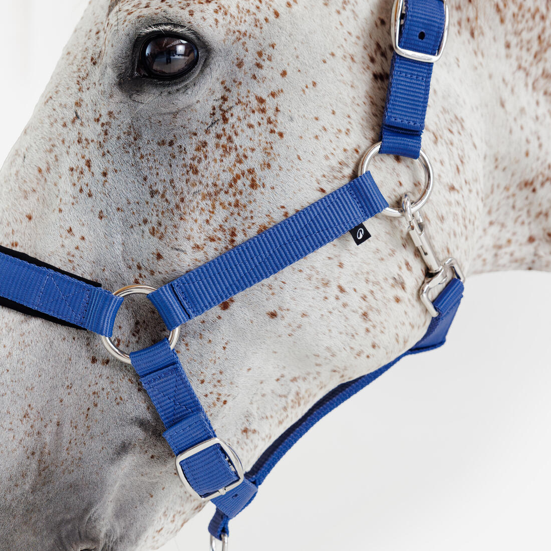 Licol équitation nubuck cheval