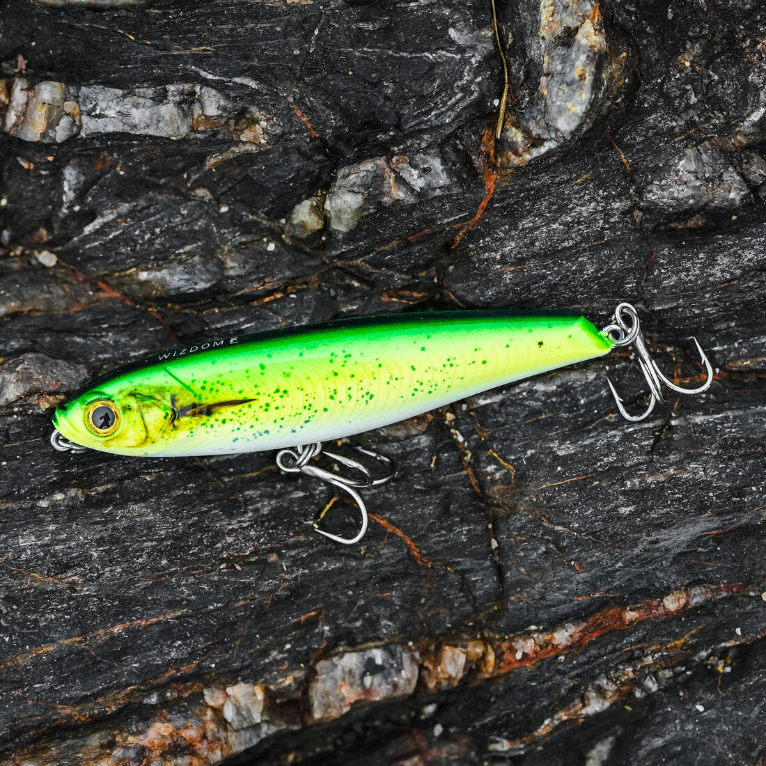 Poisson nageur stickbait pencil WIZDOM 95 F SARDINE BLEUE leurre en mer