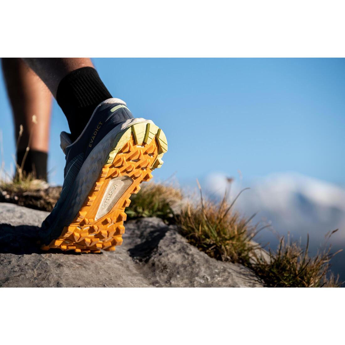 Chaussures de trail running homme EVADICT MT CUSHION 2 Noires Edition limitée