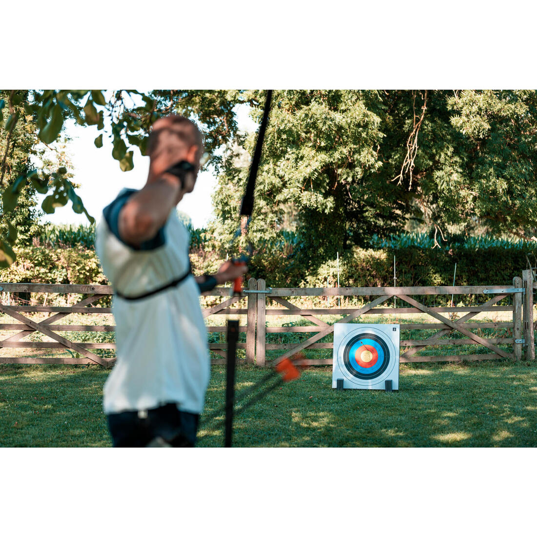 Fleches discovery 300 x3 carbone