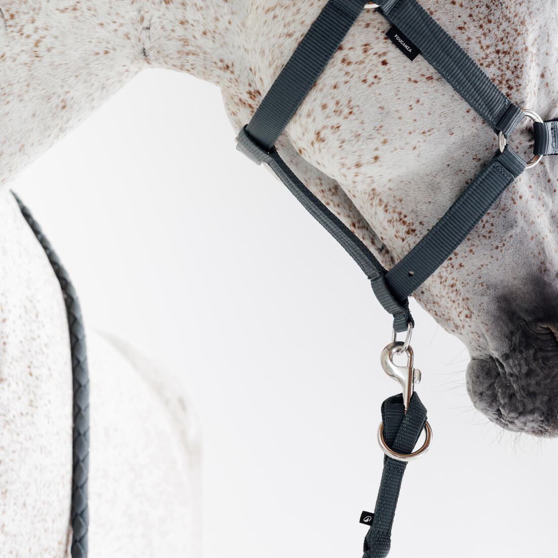 Kit licol et longe cheval en nubuck