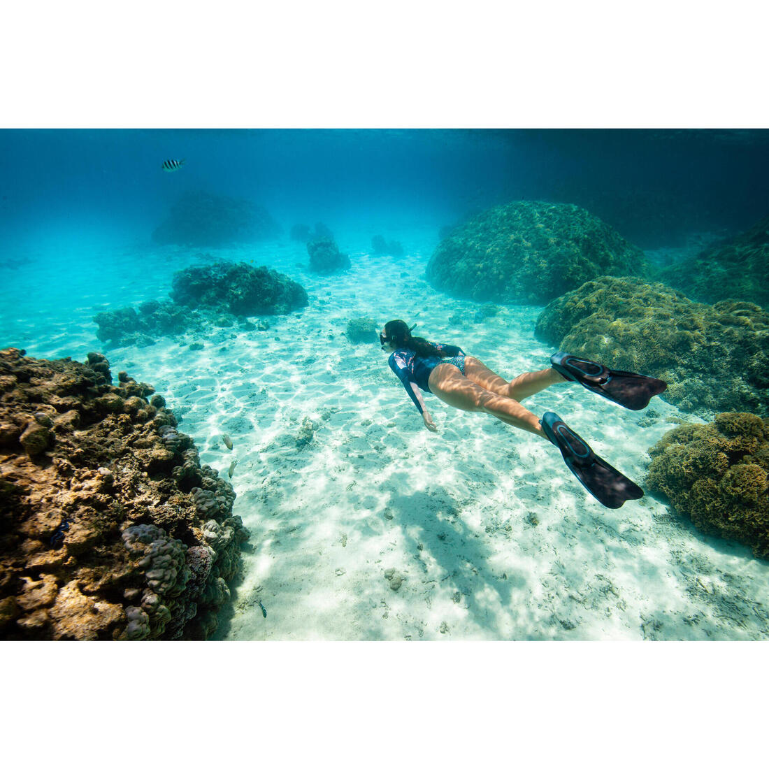 Palmes plongée et snorkeling - FF 100 courtes