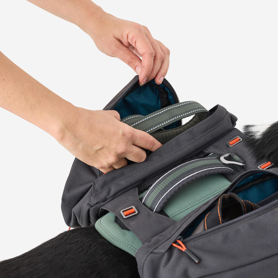 Harnais de randonnée avec sac à dos pour chien
