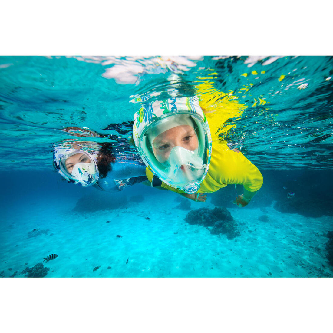 Masque snorkeling surface easybreath + avec valve acoustique > 10 ans - jungl