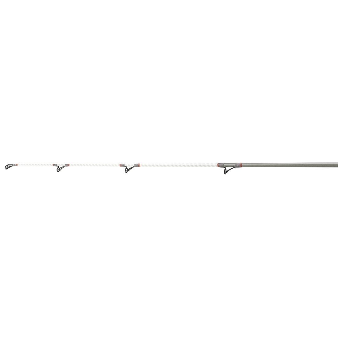 Canne CROSSCAST SURF 4.20M 100/225g DAIWA