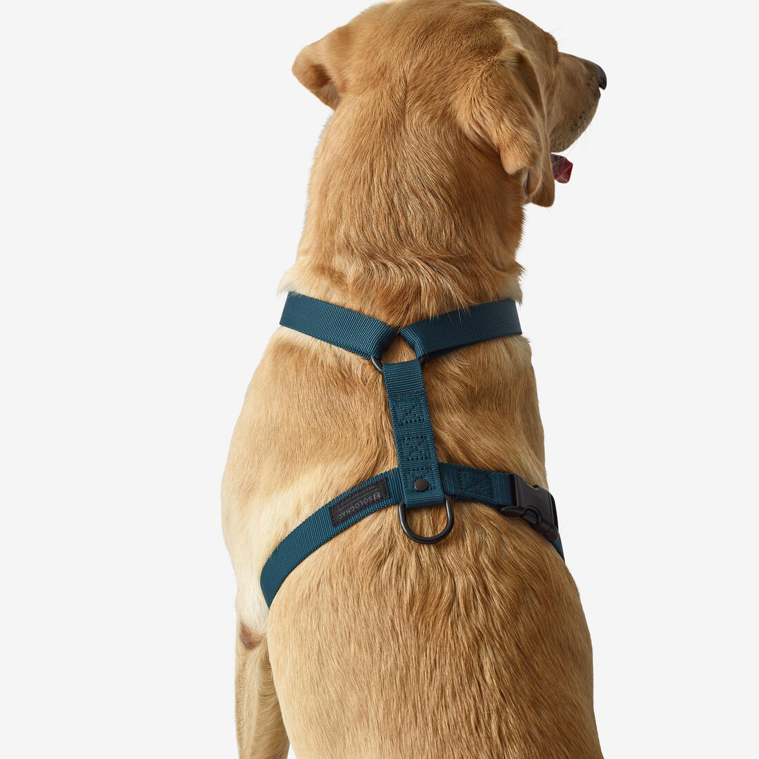 IMG_2612116