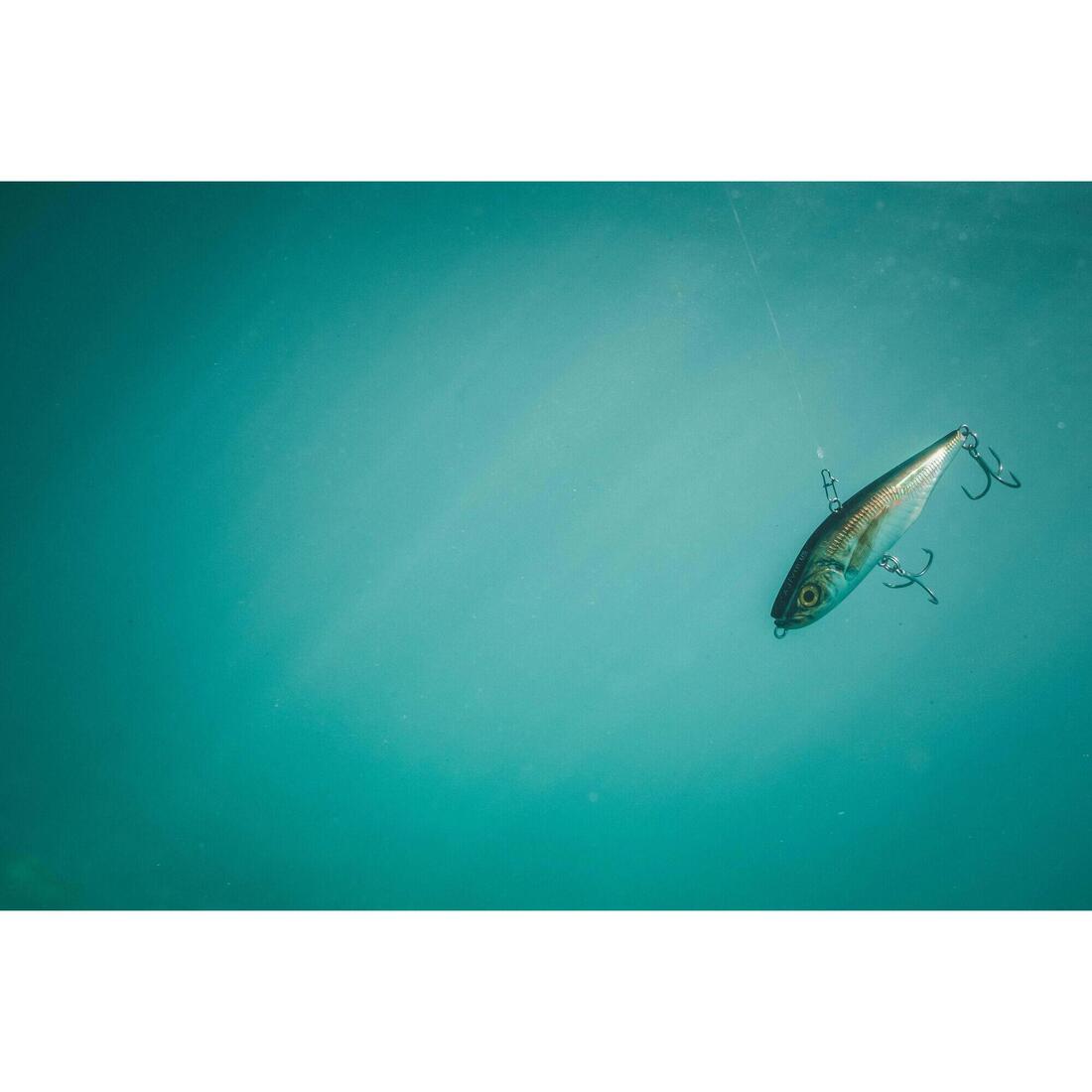 Poisson nageur AJIVIB 100 US au leurre en mer