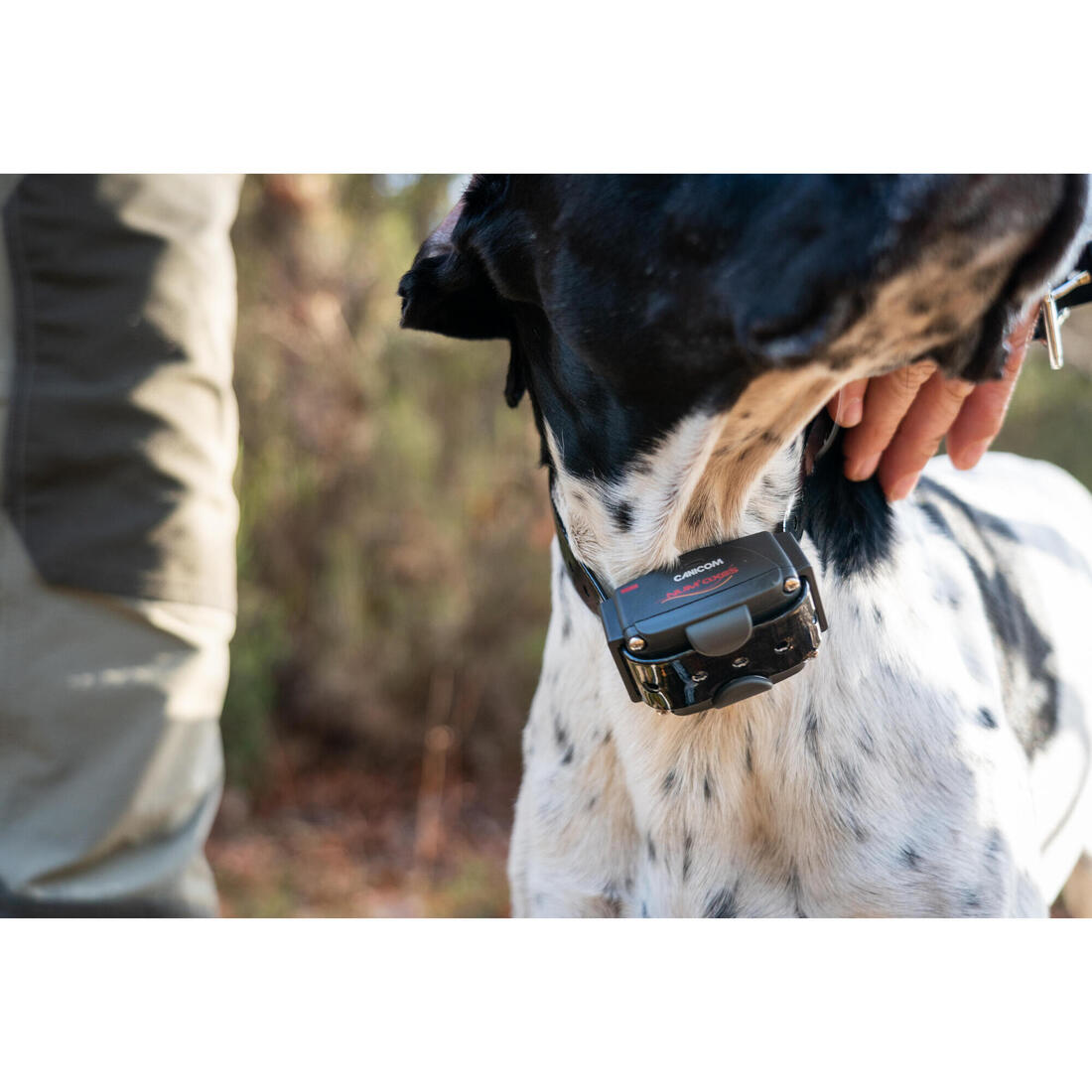 PACK COLLIER + TÉLÉCOMMANDE DE DRESSAGE POUR CHIEN NUM'AXES CANICOM 1500
