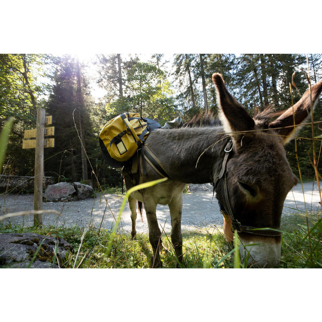 Sac de transport de trekking - 80 L à 120 L - DUFFEL 500 EXTEND