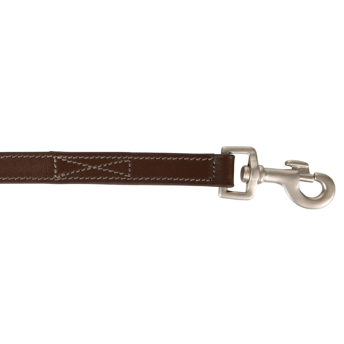 Laisse chien cuir 900