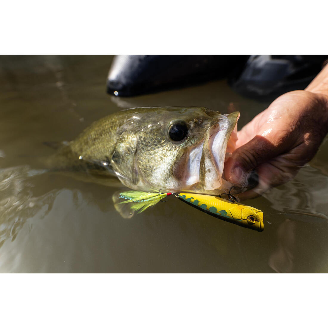 POISSON NAGEUR POPPER WXM PPR 65 F FIRETIGER