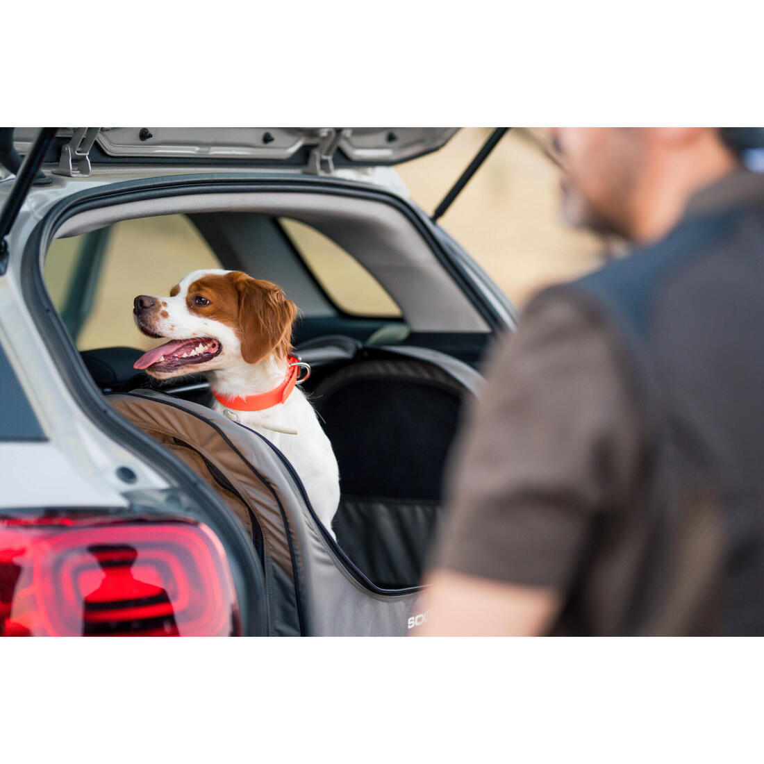 Caisse de transport pliable pour 1 chien grise