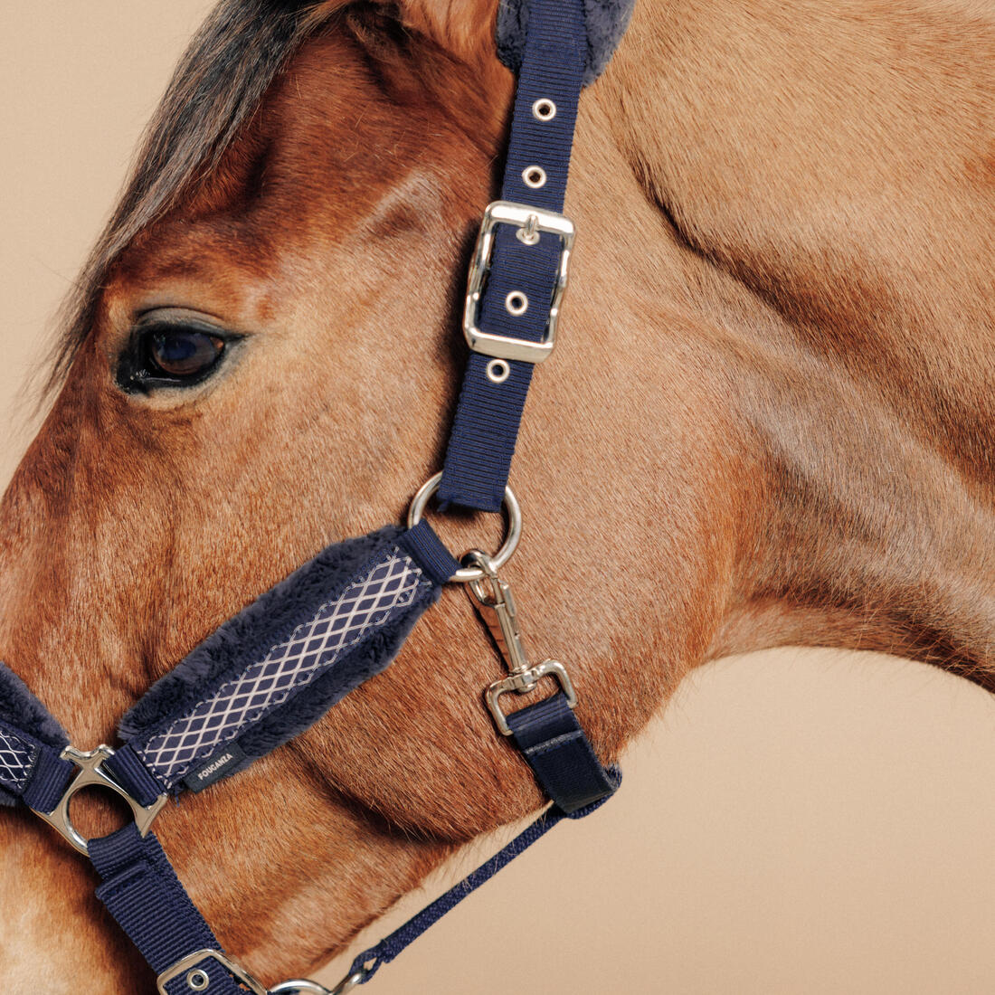 Licol équitation Poney - Confort Bleu noir / Rose cardinal