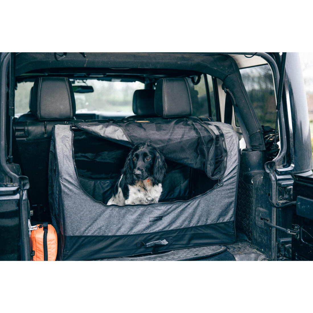 KIT TROUSSE DE PREMIERS SECOURS POUR CHIEN