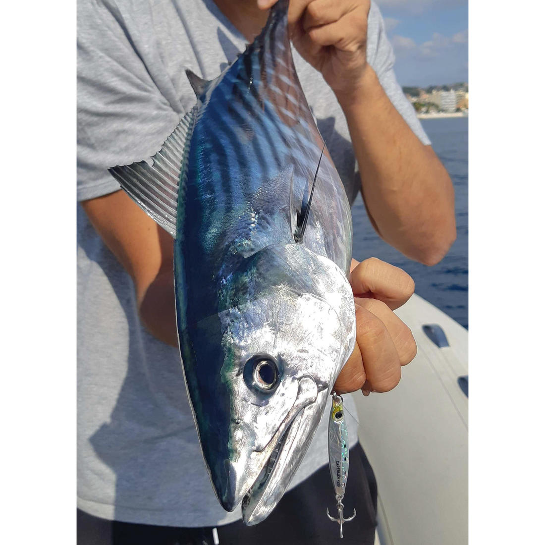 Casting jig biastos fast assist 10gr au leurre en mer