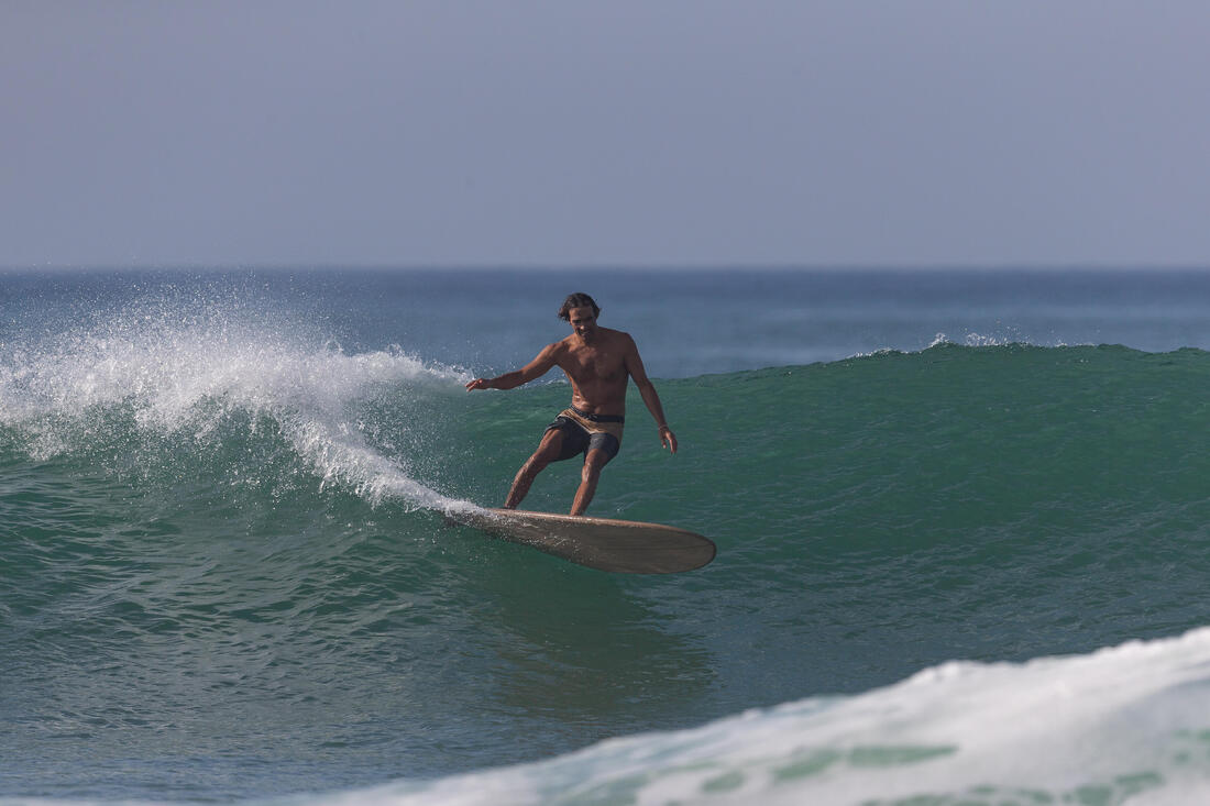 Surf boardshort standard 900 flat belt DUDE