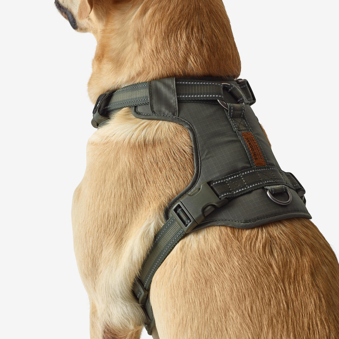 Harnais chien outdoor 500