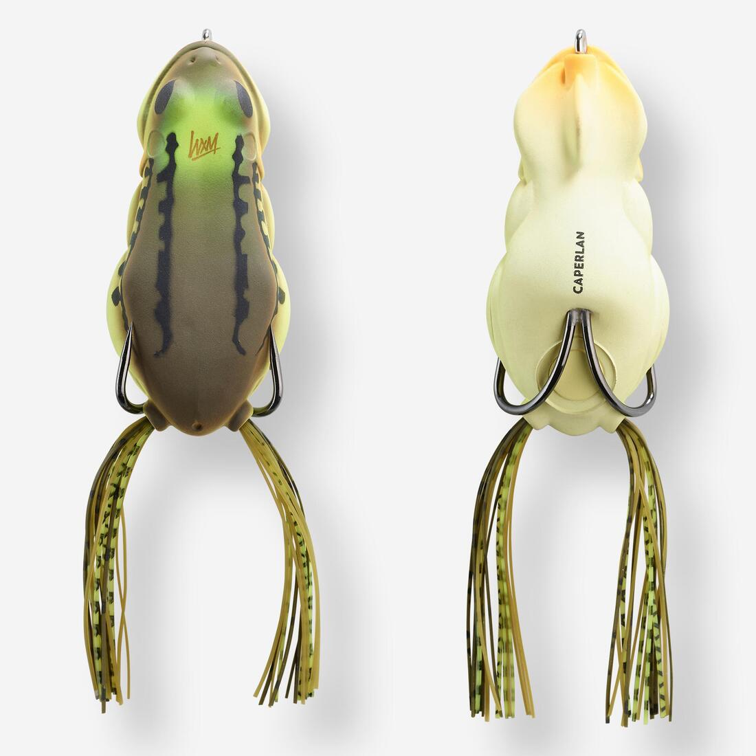 Grenouille frog frg 60 vert naturel