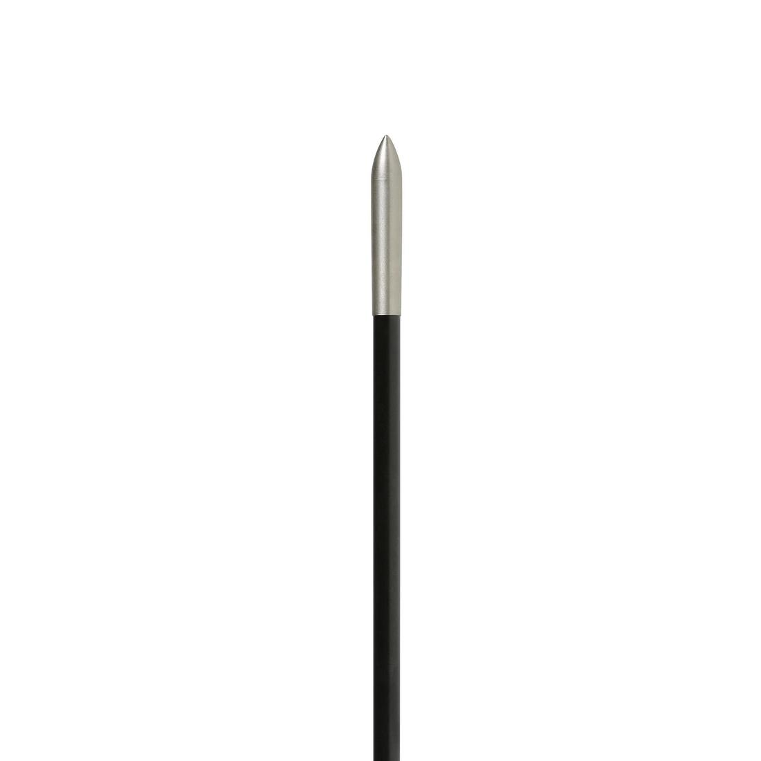 Fleches discovery 300 x3 carbone