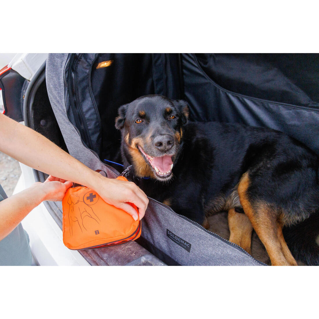 KIT TROUSSE DE PREMIERS SECOURS POUR CHIEN