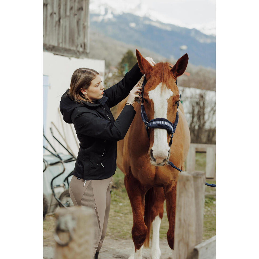 Licol équitation Poney - Confort Bleu noir / Rose cardinal