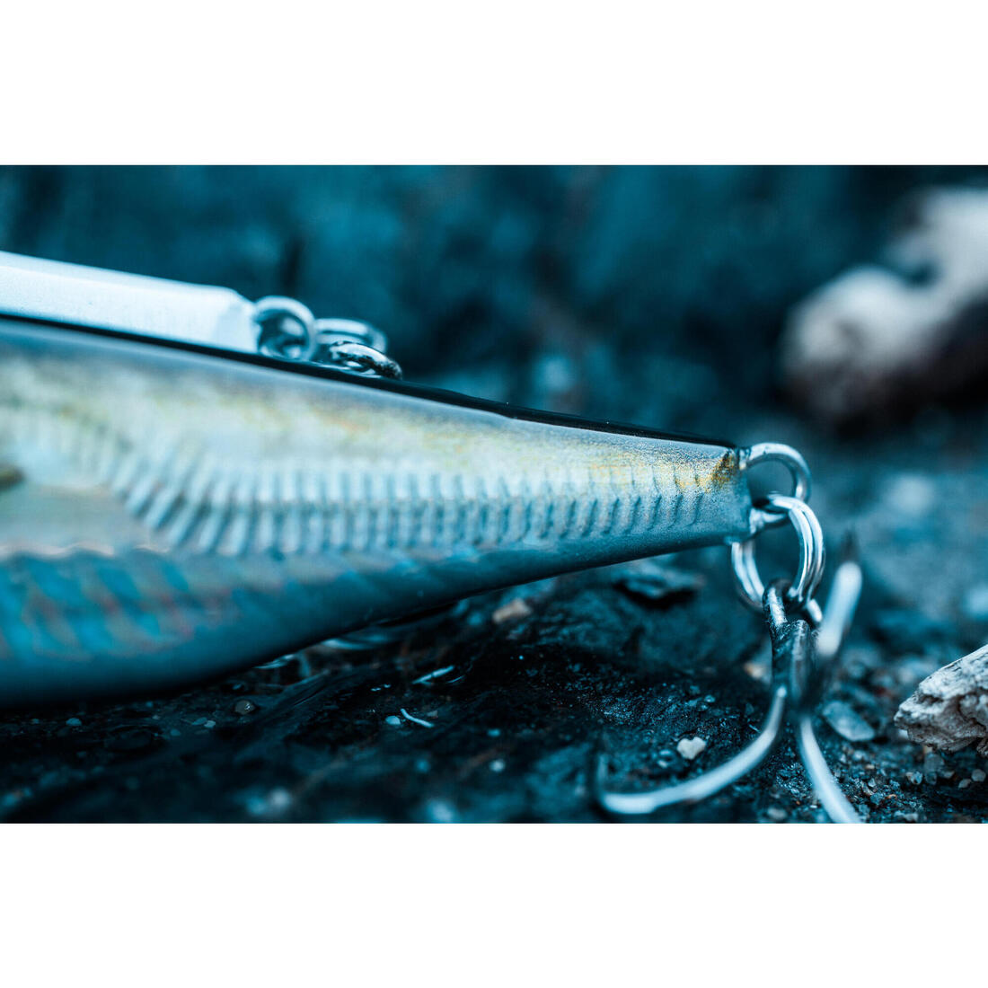 Poisson nageur AJIVIB 100 US AJI au leurre en mer