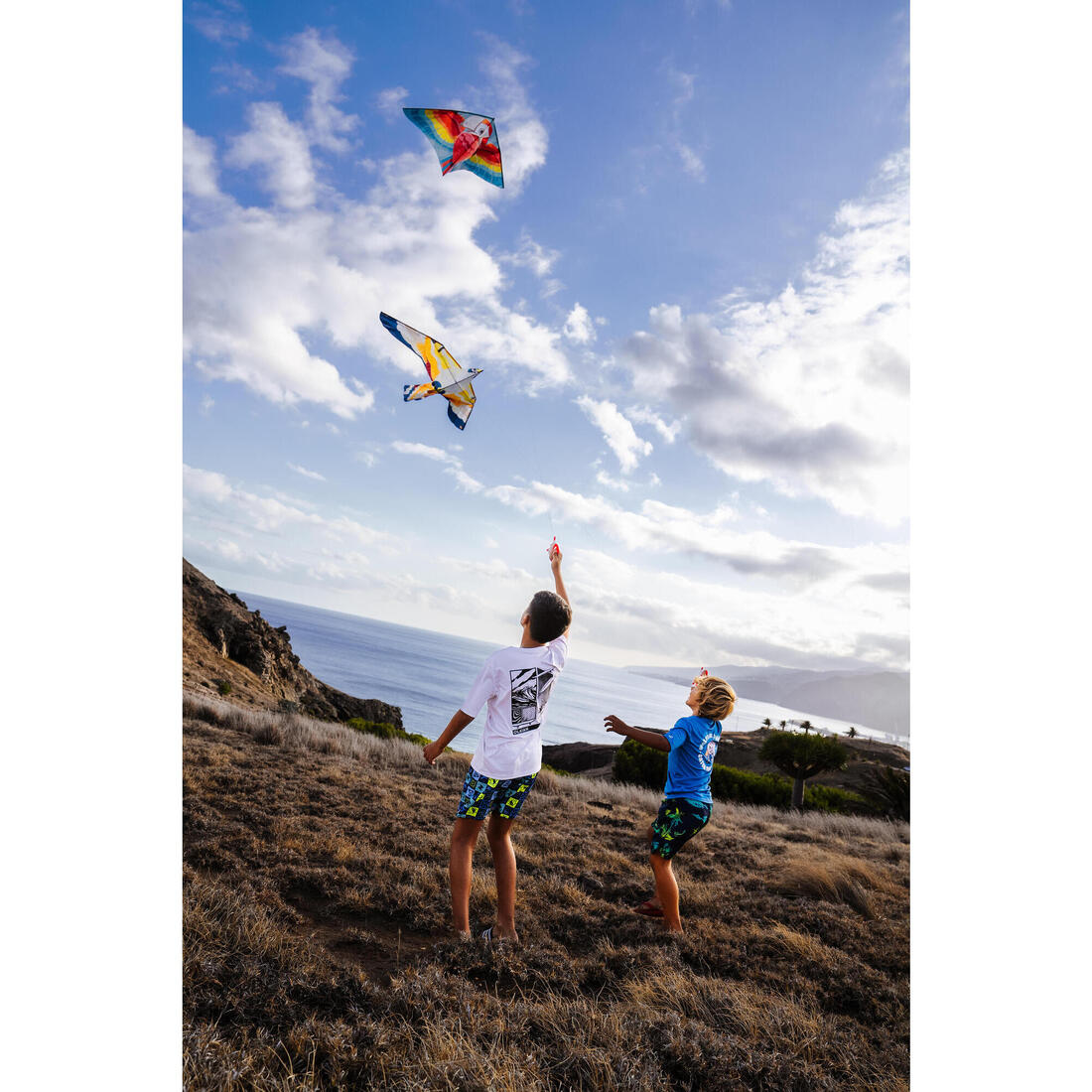 Cerf-volant statique enfant, MFK 100 Perroquet