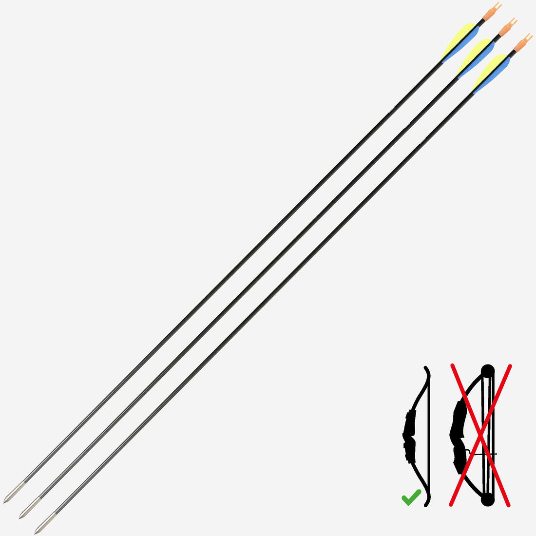 Fleches discovery 300 x3 carbone