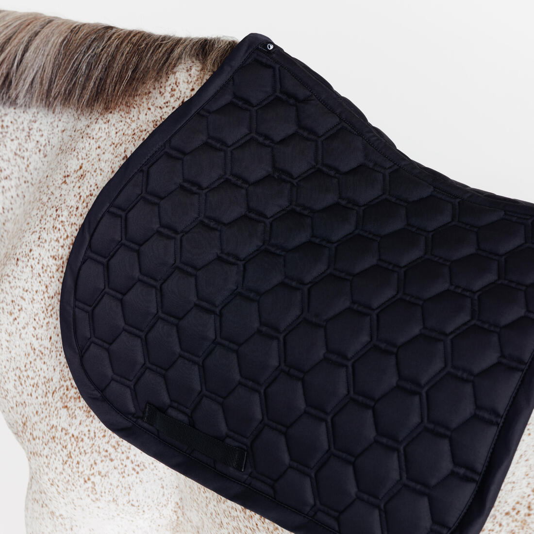 Tapis de selle équitation cheval - 500